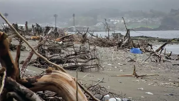 Tsunami : l'utopie du désastre