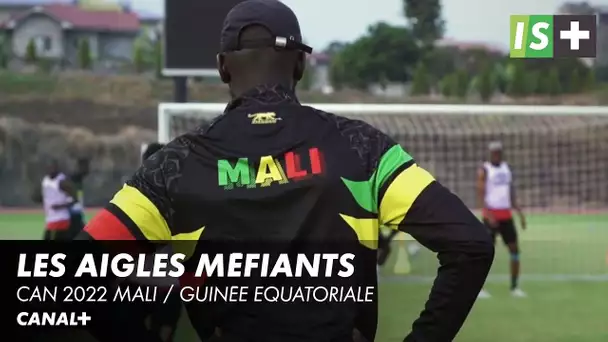 Des aigles favoris mais avertis - Can 2022 Mali / Guinée Equatoriale