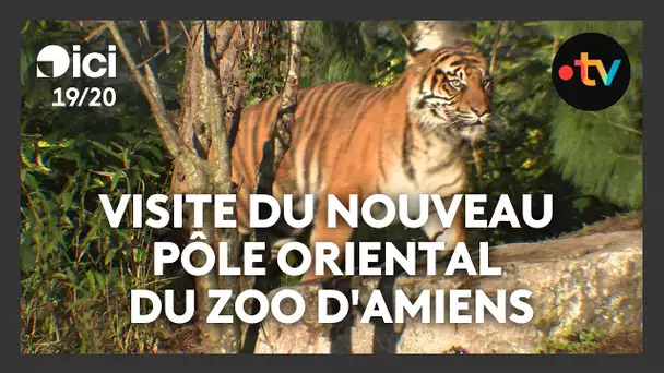 Le Zoo d'Amiens se transforme avec de nouveaux aménagements pour le public