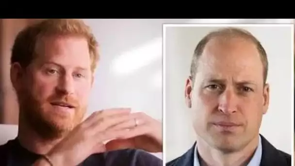 La faille royale explose alors que le prince Harry affirme "qu'ils étaient heureux de mentir" pour "