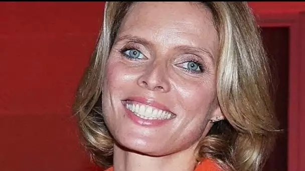 PHOTO – Sylvie Tellier confinée au soleil… Cette image lui agace les internautes