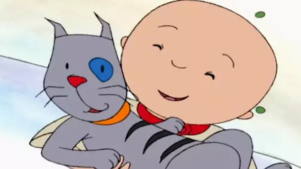 Caillou Cherche Gilbert | Caillou en Français