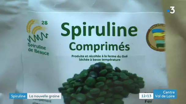 Spiruline, la nouvelle graine