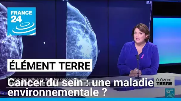 Les cancers du sein: la faute aux polluants • FRANCE 24