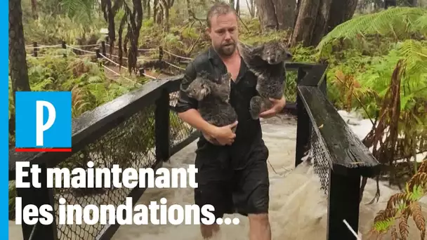 Un zoo australien menacé d’inondation après des fortes pluies