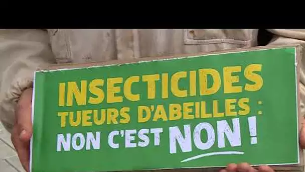 Les apiculteurs manifestent à Pau contre les insecticides néonicotinoïdes