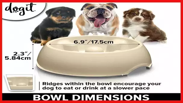 Dogit Dog Bowl Slow Feeder for Wet or Dry Dog Food, Go Slow Anti-Gulping Dog Dish, White