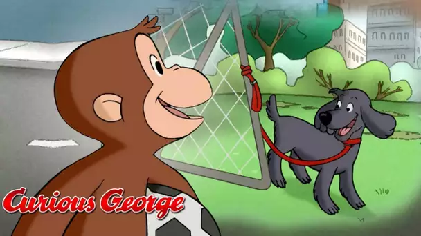 Mega Compilation Animée de Curious George en Français pour Enfants | WildBrain Enfants