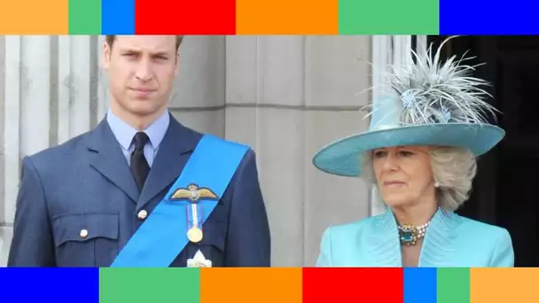 Prince William  où en est sa relation avec Camilla Parker Bowles