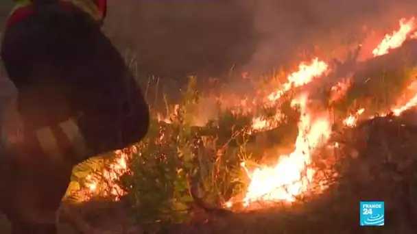 Incendie au Portugal : état d'alerte dans le centre du pays