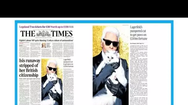 "Karl Lagerfeld, l'empire de la mode, et la chatte Choupette"