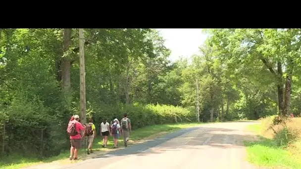 Covid-19 : le Morvan attire de nombreux touristes français qui viennent se mettre au vert