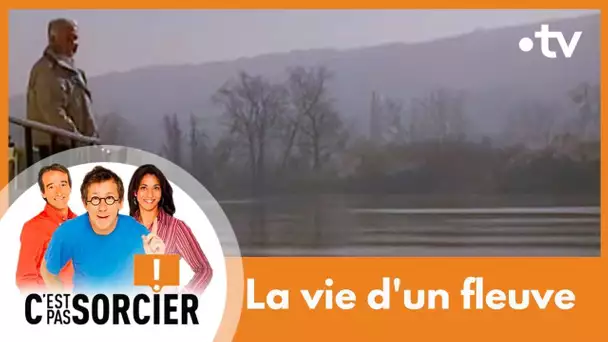 La vie d'un fleuve - C'est pas sorcier [Intégrale]