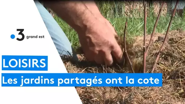 Les jardins partagés à la campagne