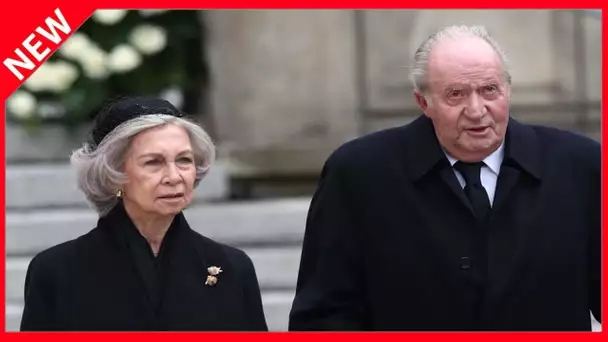 ✅  Juan Carlos et Sofia d’Espagne : pourquoi la reine n’a jamais divorcé, malgré les humiliations