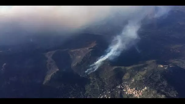 Corse : touchée par les incendies, Calenzana se mobilise pour un jeune éleveur en détresse