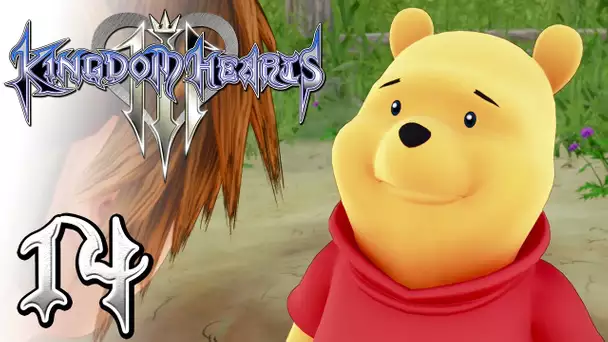 Kingdom Hearts 3 #14 | WINNIE !