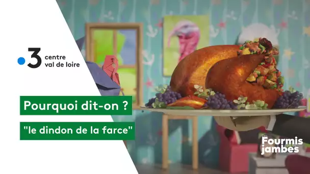 Pourquoi dit-on : le dindon de la farce