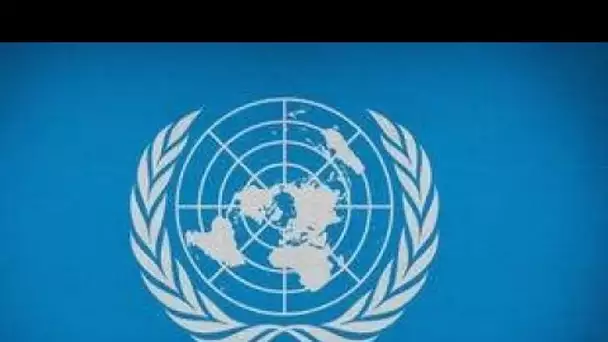 Un collectif interpelle l’ONU pour dire  Droits humains  plutôt que  Droits de l’Homme