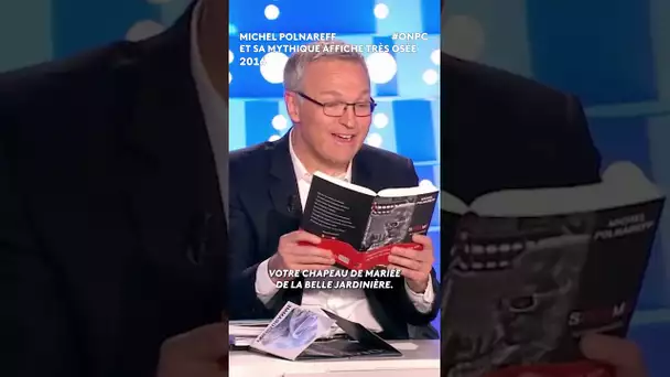 Michel Polnareff sur cette fameuse affiche très osée... - On n'est pas couché 2016