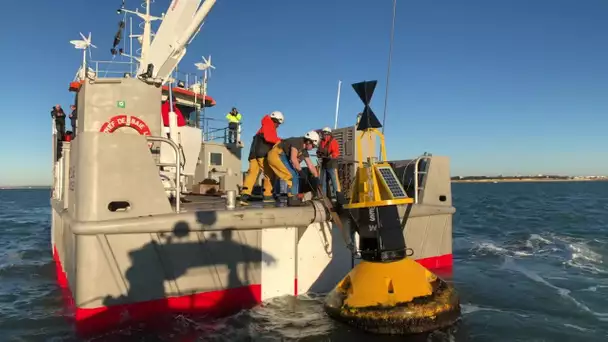 Le Chef-de-Baie, nouveau baliseur des Phares et Balises de La Rochelle