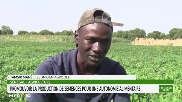 Sénégal-agriculture: promouvoir la production de semences pour une autonomie alimentaire