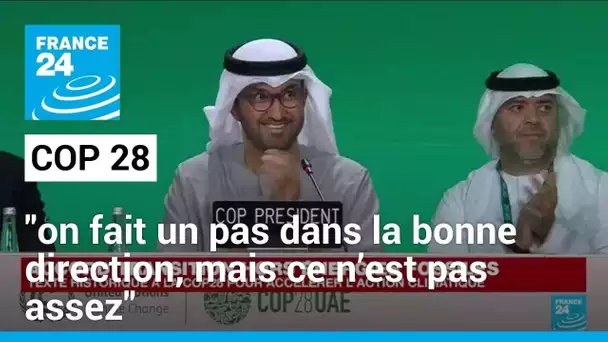 COP 28 : "on fait un pas dans la bonne direction, mais ce n’est pas assez" • FRANCE 24