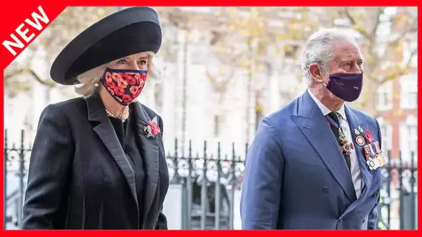 ✅  Le prince Charles et Camilla masqués mais pas confinés pour une visite royale à Berlin