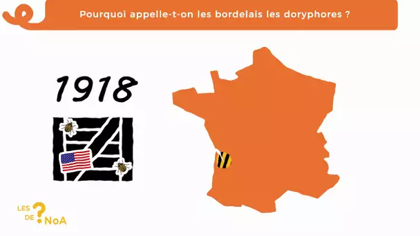 Les ? de #Noa 62 : Pourquoi appelle-t-on les bordelais les doryphores ?