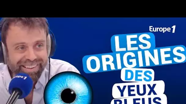 Les origines des yeux bleus avec David Castello-Lopes