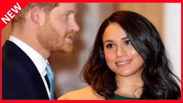 ✅  Meghan Markle et Harry caricaturés : ces marionnettes qui suscitent déjà l'hilarité