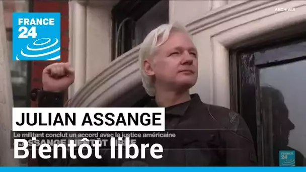 Julian Assange "libre" après un accord avec la justice américaine, annonce WikiLeaks • FRANCE 24