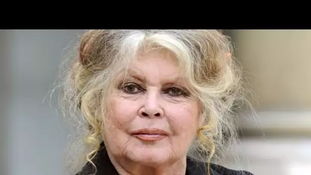 Brigitte Bardot : L’ancienne actrice condamnée à 20 000 euros d’amende pour...