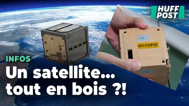 Ces scientifiques pensent avoir la solution contre le fléau de la pollution spatiale