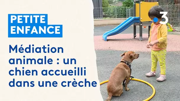 Le chien, médiateur animal dans les crèches