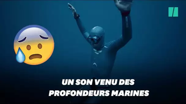 Quel est ce son effrayant capté par l'apnéiste Guillaume Néry au fond de la mer ?