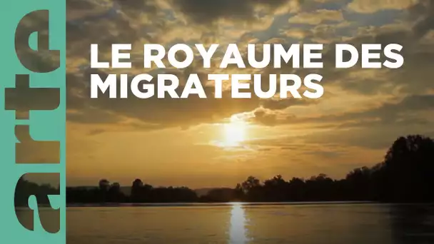 La Loire, un fleuve libre | La France sauvage | ARTE Family