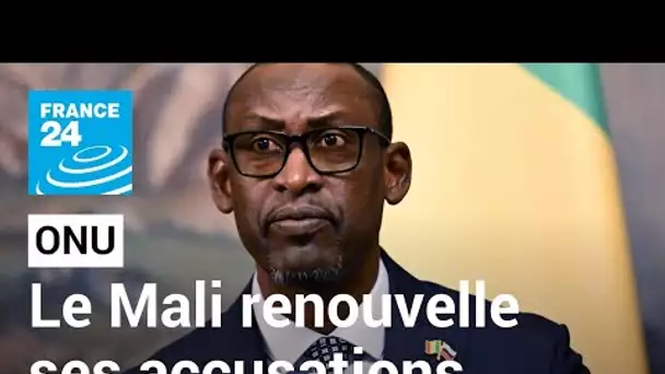 Au Conseil de sécurité de l'ONU, le Mali renouvelle ses accusations contre la France • FRANCE 24