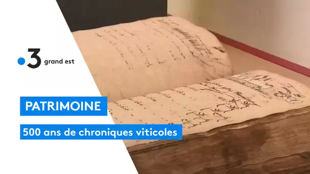 Le Weinschlagbuch de Mittelbergheim, une chronique viticole de plus de 500 ans