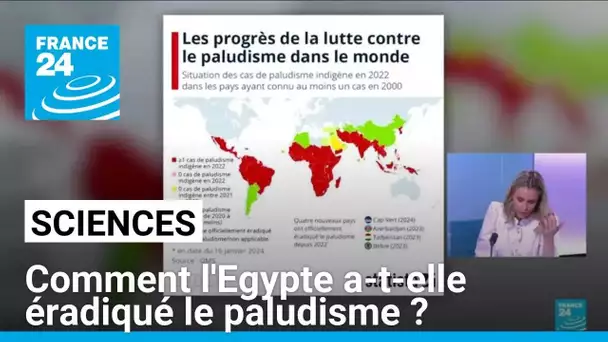 Comment l'Egypte a-t-elle éradiqué le paludisme après un siècle d'effort ? • FRANCE 24