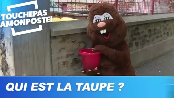 Qui est la taupe de TPMP ?