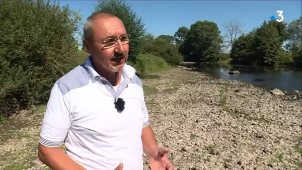 Saône-et-Loire : l'Arroux est à sec