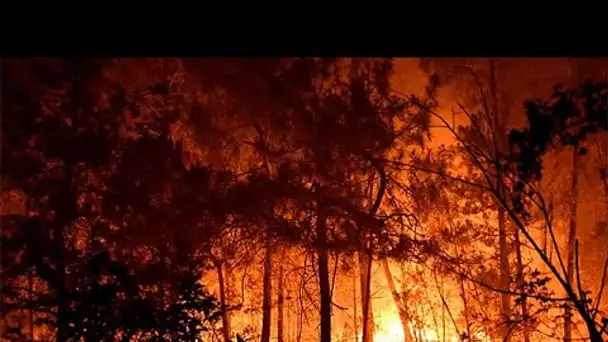 Des feux de forêt détruisent des centaines d'hectares dans le sud de la France