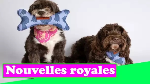 Buckingham Palace commence à vendre des jouets pour chiens en hommage à l'amour de la reine pour les