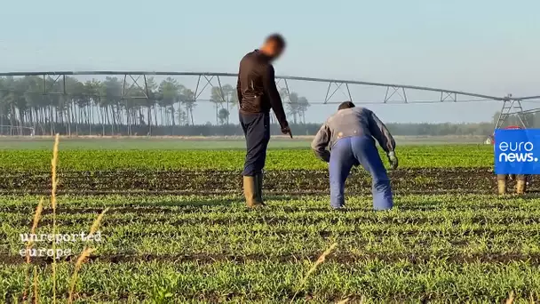 France : dans l'enfer des exploitations agricoles