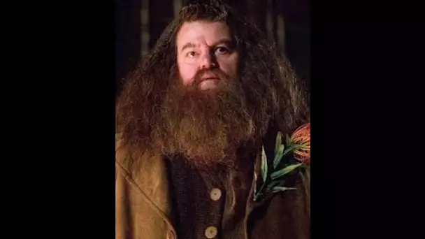 Robbie Coltrane, l’interprète d’Hagrid dans Harry Potter, est mort