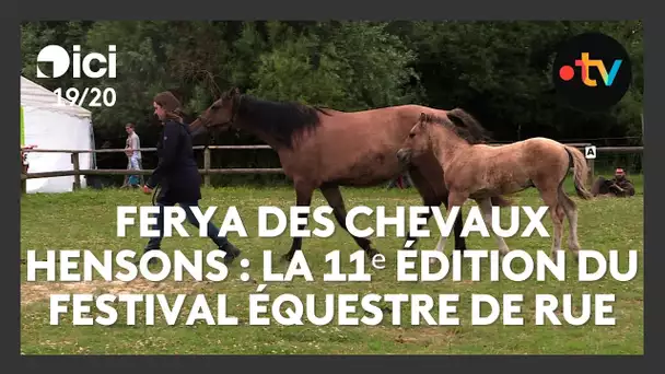 Ferya des chevaux Hensons : la 11ᵉ édition du festival équestre de Rue