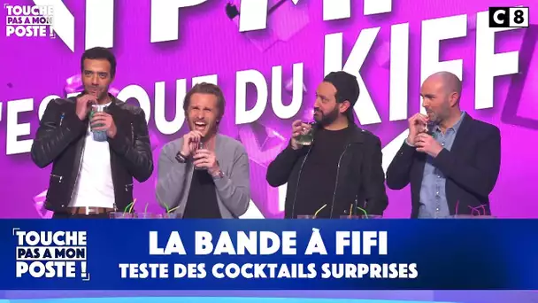 Cocktail surprise avec la bande à Fifi - TPMP