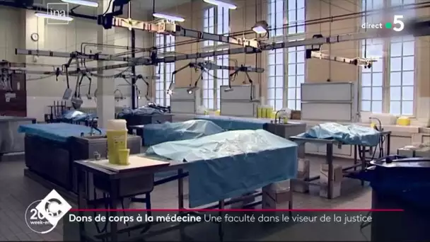 Le scandale des corps donnés à la science - C à Vous - 12/02/2020