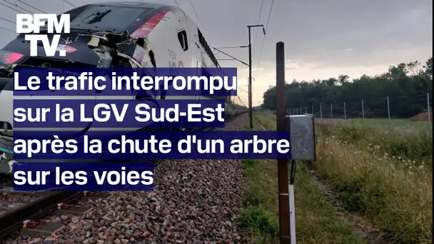 Le trafic interrompu sur la LGV Sud-Est après la chute d'un arbre sur les voies